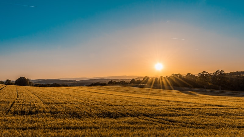 Illinois farmland at sunset